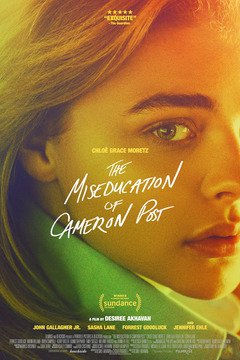 The Miseducation of Cameron Post - poster