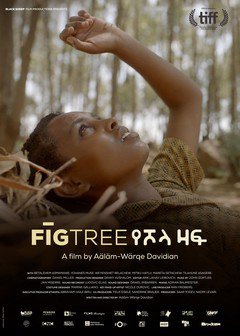 Fig Tree - poster