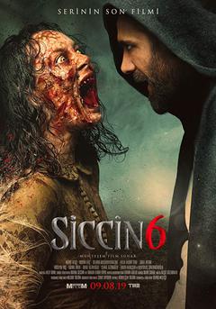 Siccin 6 - poster