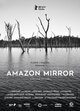Amazon Mirror
