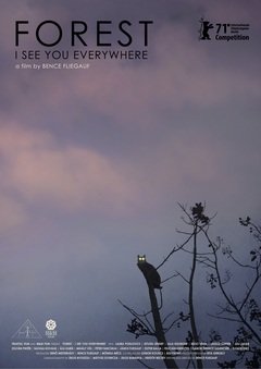 Forest - I See You Everywhere - poster