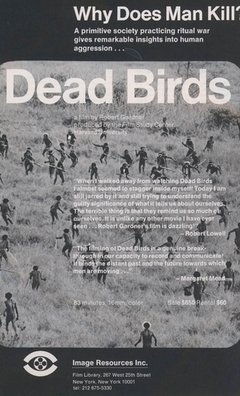 Dead Birds - poster