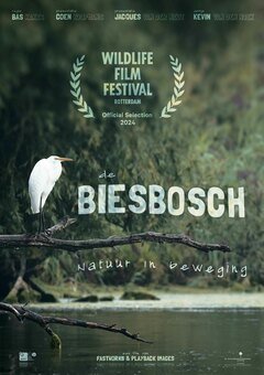 De Biesbosch: Natuur in beweging - poster