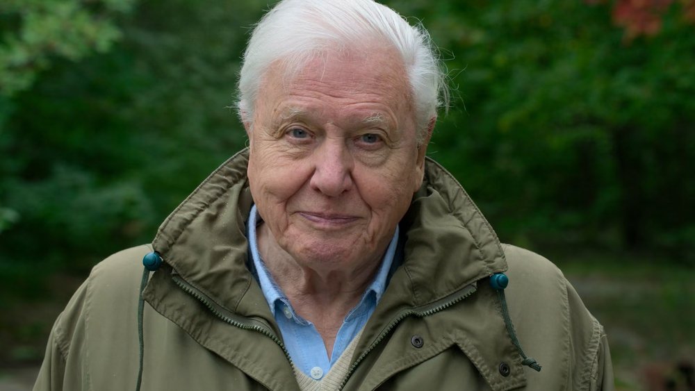 David Attenborough: A Life on Our Planet - still