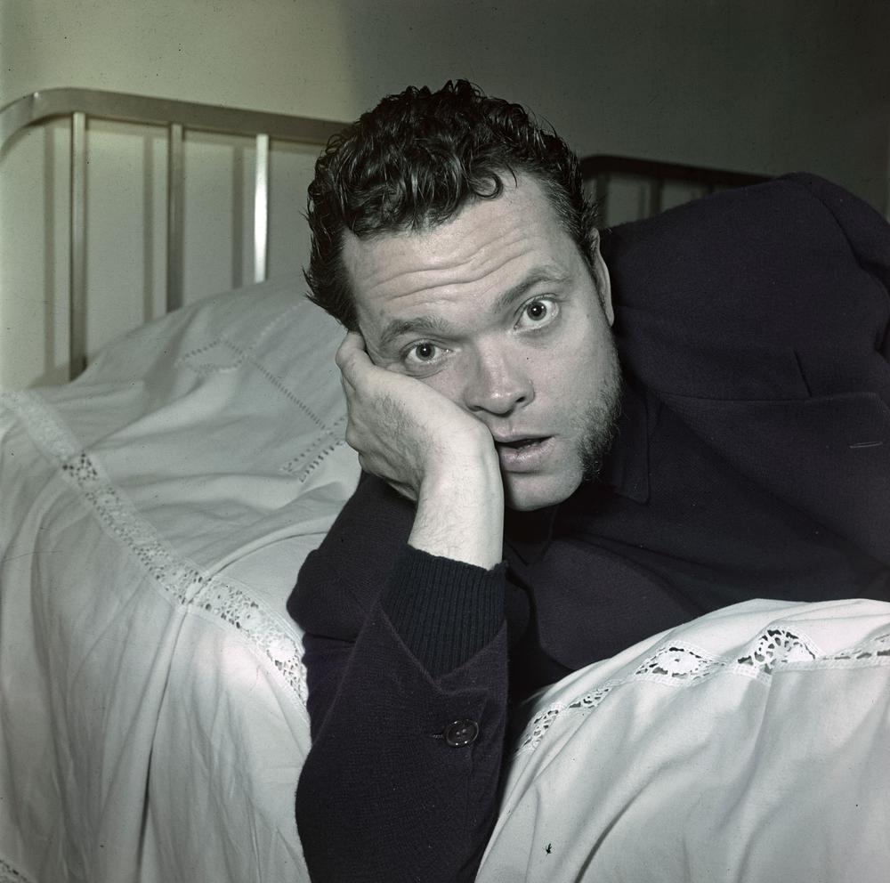 The Eyes of Orson Welles - still