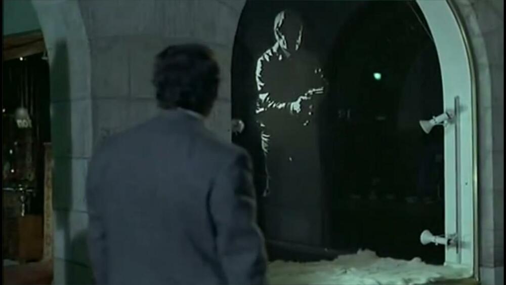 Police Python 357 film bioscoopagenda