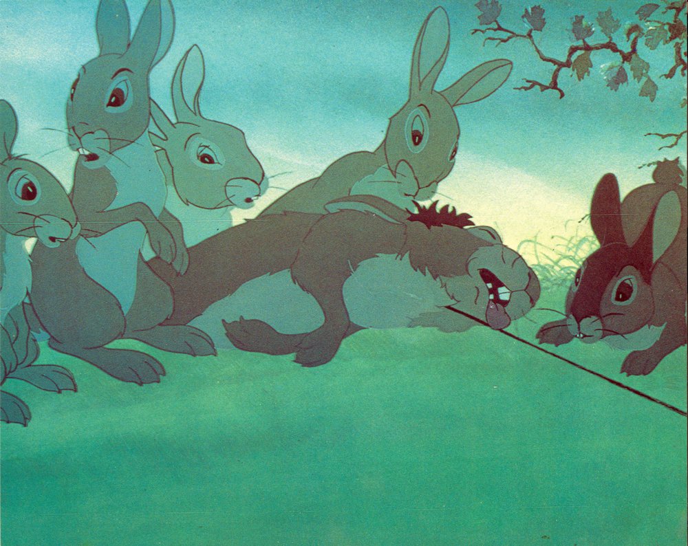 Watership Down - still