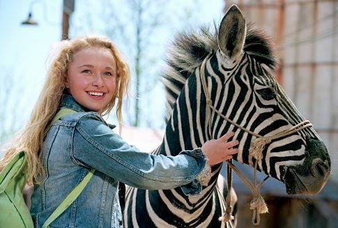 Racing Stripes - still