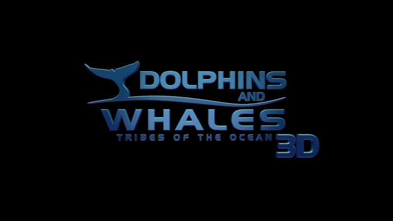 Dolphins and Whales 3D: Tribes of the Ocean - still
