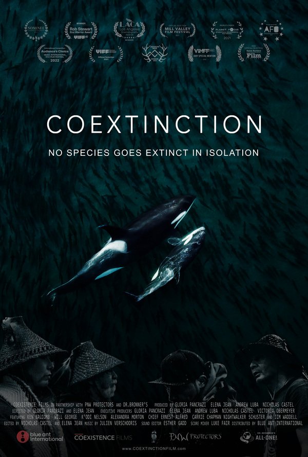 Coextinction