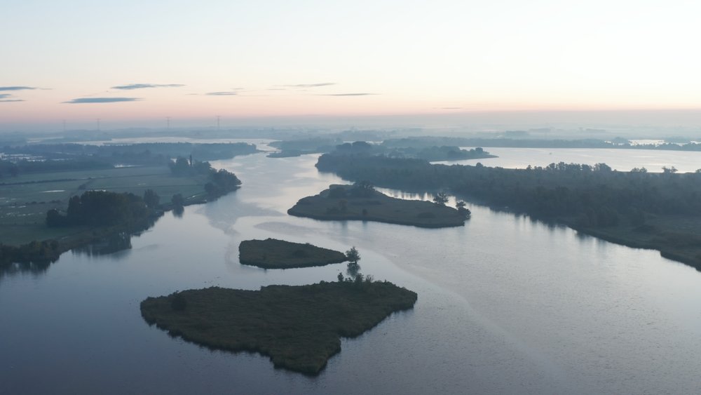 De Biesbosch: Natuur in beweging - still