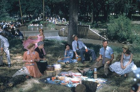 Picnic