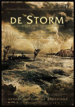 De Storm - poster