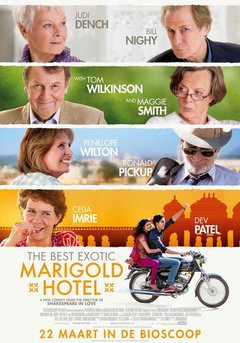 The Best Exotic Marigold Hotel - poster
